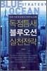 독점틈새 블루오션 실천전략