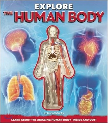 Explore the Human Body