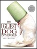 The Ugliest Dog in the World