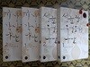 성균관 유생들의 나날 + 규장각 각신들의 나날