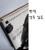 침팬지 폴리틱스