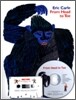 문진 영어동화 Best Combo Step 2 : From Head to Toe (Paperback Set)