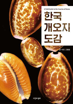 한국 개오지 도감