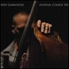 Avishai Cohen - From Darkness