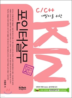 포인터 실무 KIN