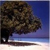 Albert Hammond / Your World And My World (일본수입/SRCS6140)