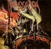 Massacra - Signs Of The Decline (수입)