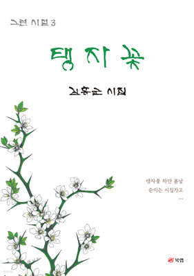 그런 시절 3 : 탱자꽃