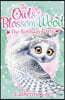The Owls of Blossom Wood: The Birthday Party (Paperback)