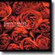 Sweet Tango - The 33 Most Famous Beautiful Tracks Of Real Tango!
