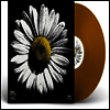 Tribute To Neil Young - Heart of Gold: The Songs of Neil Young, Vol. 3 - Into the Black (Ltd)(180g)(Gold Colored Vinyl)(LP)