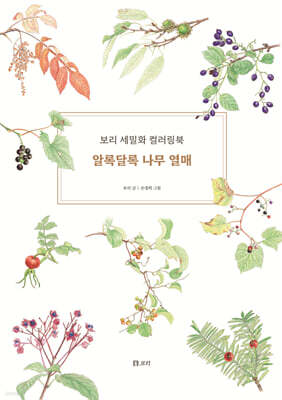 알록달록 나무 열매