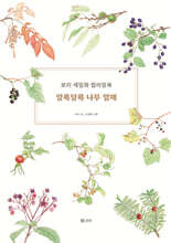 알록달록 나무 열매