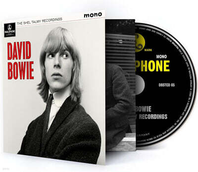 David Bowie (데이비드 보위) - The Shel Talmy Recordings