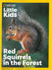 National Geographic Little Kids (격월간) : 2026년 11월