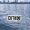 Fin Fior (핀 피오르) - 겁이나 (미개봉CD)