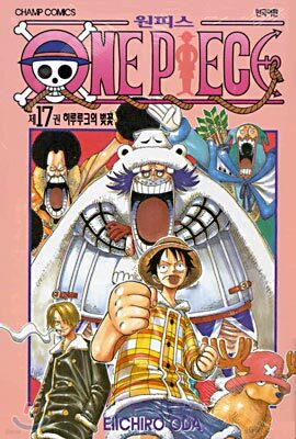 원피스 ONE PIECE 17
