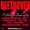 Wilhelm Furtwagler 베토벤 : 교향곡 3번 9번 (Beethoven : Symphony No.3 No.9) 빌헬름 푸르트뱅글러
