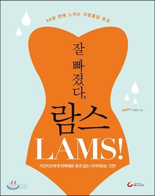 잘 빠졌다, 람스 LAMS!