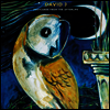 David J - Postcards From The Afterlife (CD)