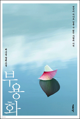 부용화
