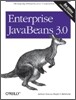 Enterprise JavaBeans 3.0