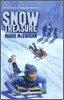 Snow Treasure