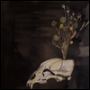Steve Gunn & the Black Twig Pickers - Seasonal Hire (Download Code)(Vinyl LP)