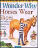 I Wonder Why Horses Wear Shoes