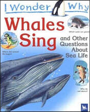 I Wonder Why Whales Sing And Other Questions About Sea Creatures