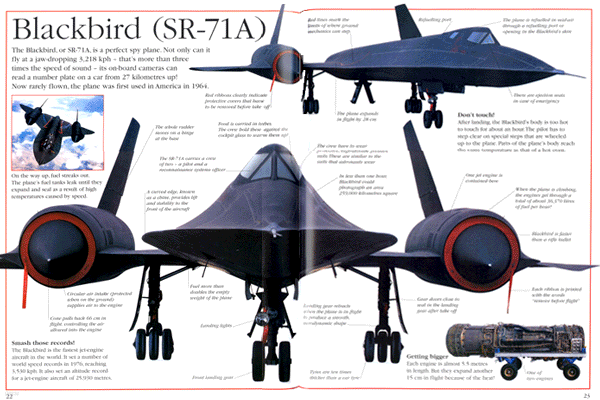 Big Book of Airplanes (Hardcover)