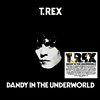 T.Rex - Dandy & The Underworld (Ltd. Ed)(180G)(LP)