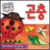 곤충