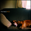 Spraynard - Mable (Vinyl LP)