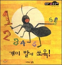 개미 발에 쏘옥! (수와셈 1단계)