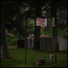 Creeping Pink - Mirror Woods (LP)