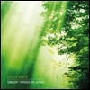 Stella Mirus - Sunlight Through The Leaves (나뭇잎 사이로 비치는 햇빛)