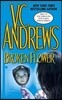 Broken Flower