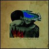Josh Rouse - Embers Of Time (Vinyl LP)