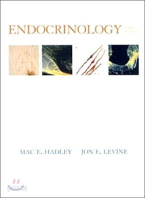 Endocrinology, 6/E