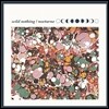 Wild Nothing - Nocturne