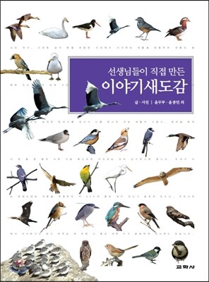 이야기 새 도감