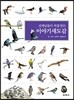 이야기 새 도감