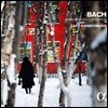 Cafe Zimmermann 바흐: 브란덴부르크 협주곡 전곡집 (Bach: Brandenburg Concertos Nos. 1-6 BWV1046-1051)