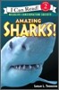 Amazing Sharks!