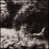 Syd Matters - Ghost Days (LP)