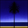 Metronomy - English Riviera (LP)