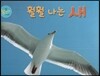 훨훨 나는 새 (새)