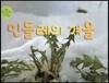 민들레의 겨울 (민들레)