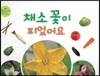 채소 꽃이 피었어요 (꽃)